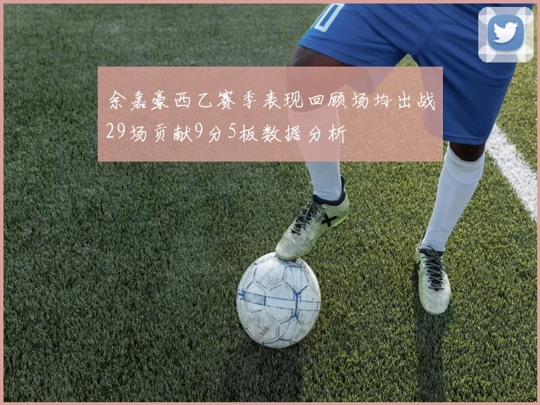 余嘉豪西乙赛季表现回顾场均出战29场贡献9分5板数据分析