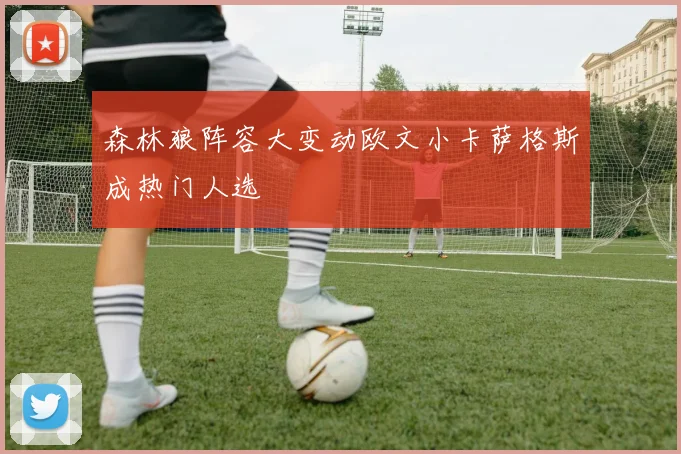 森林狼阵容大变动欧文小卡萨格斯成热门人选